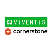 Viventis Search Asia